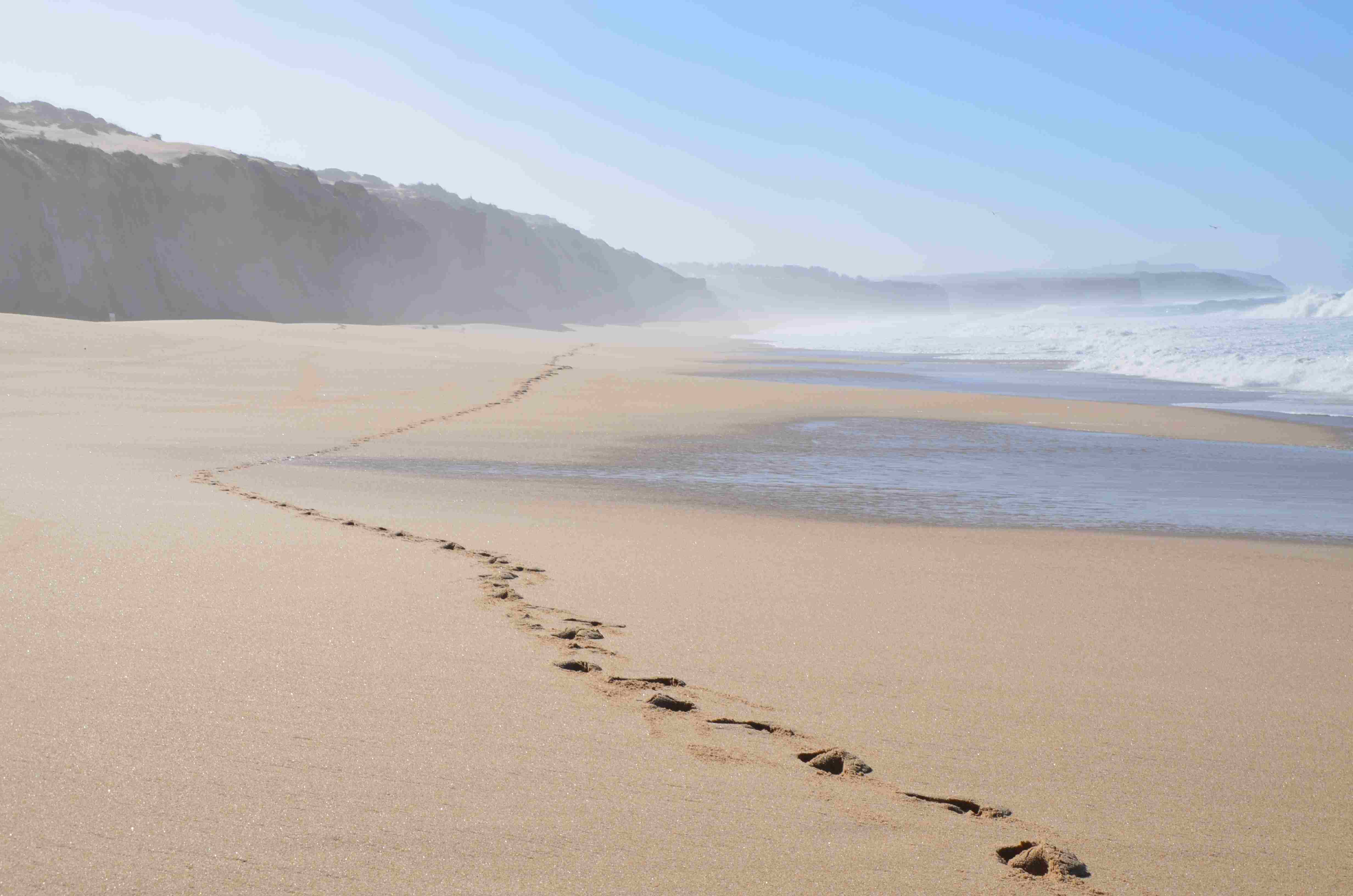 Empreintes de pas sur la plage – le chemin